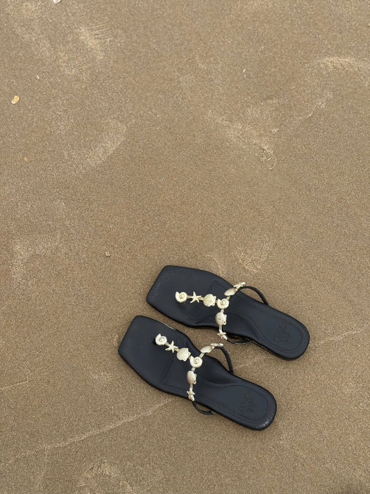SHE SELLS SEASHELLS