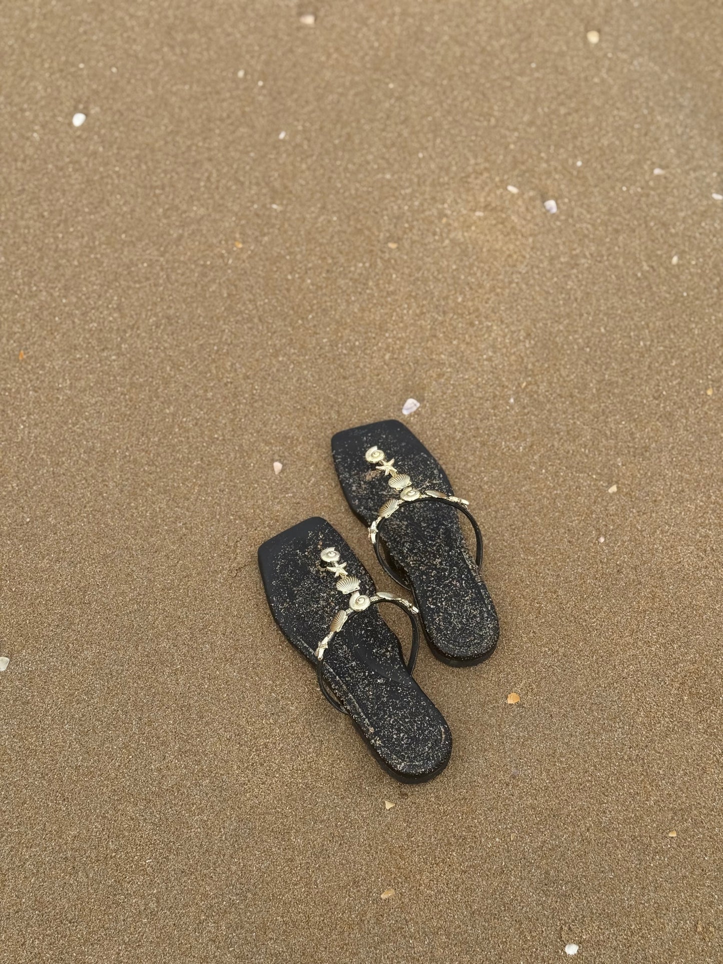 SHE SELLS SEASHELLS